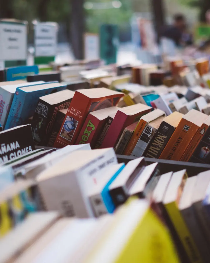 colorful books on shelves