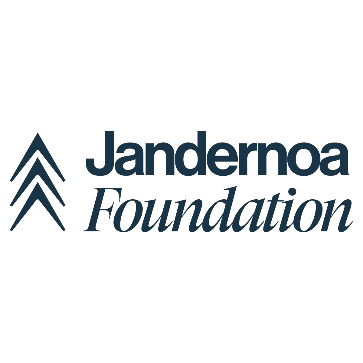 Jandernoa Foundation Logo